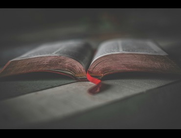 Service Image 2